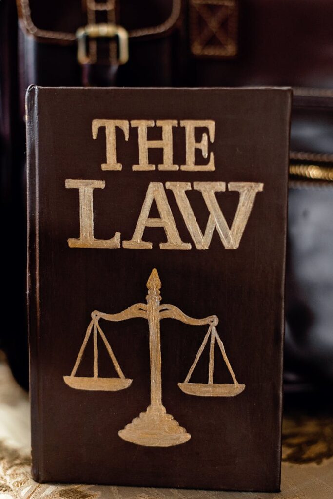 Detailed image of a book titled 'The Law' featuring scales of justice.